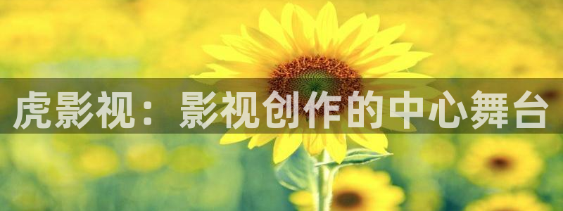 www.四虎影院4h
